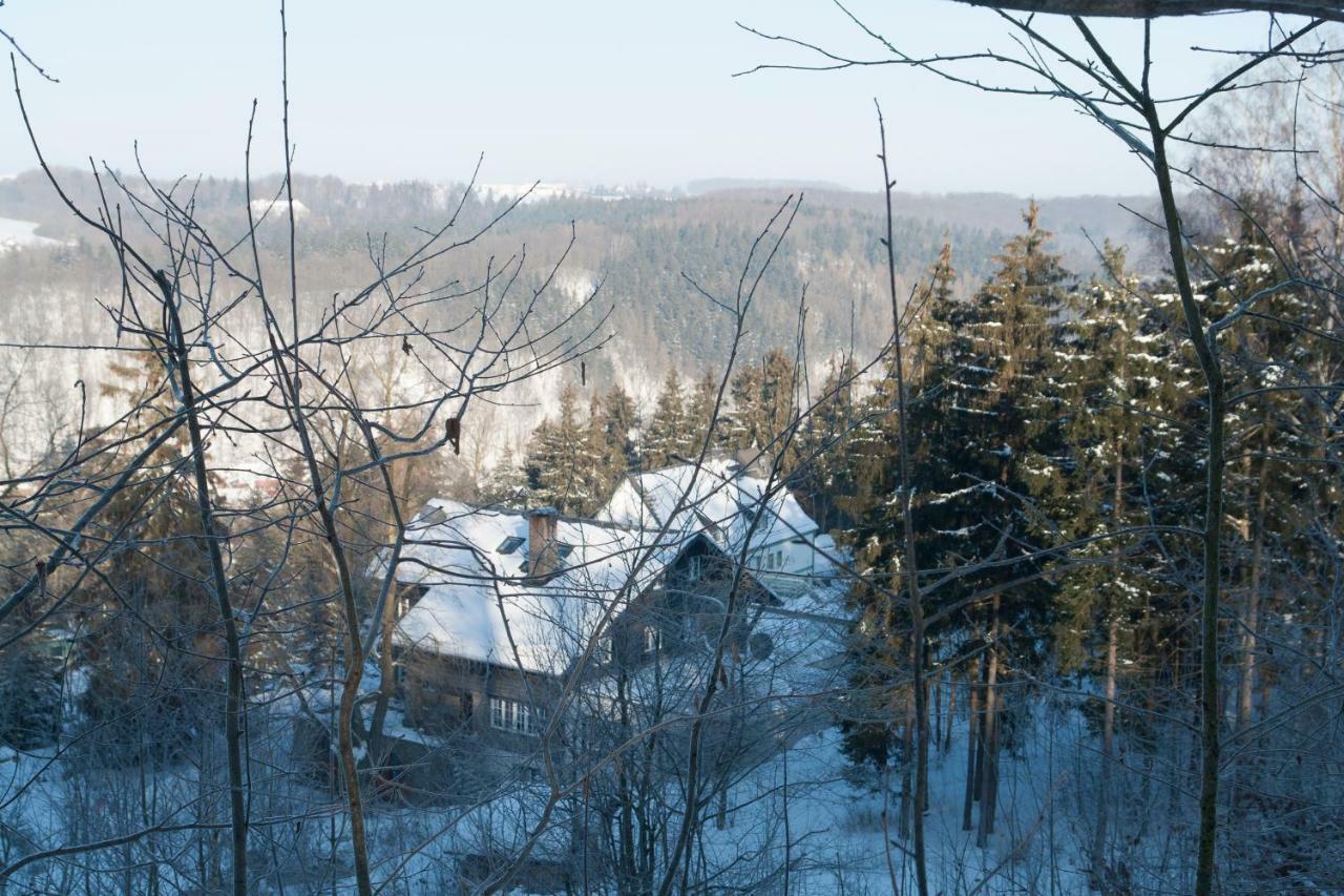 Schweizer Haus Wippra Apartman Kültér fotó
